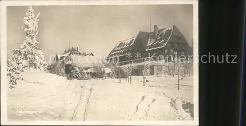 Feldberg Schwarzwald Hotel Feldbergerhof Kat. Feldberg (Schwarzwald)