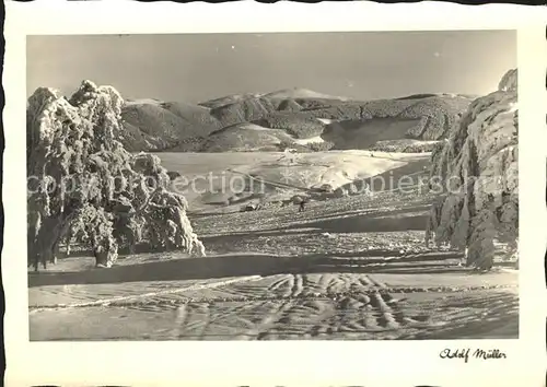 Feldberg Schwarzwald Winterlandschaft Kat. Feldberg (Schwarzwald)