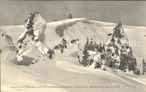 Feldberg Schwarzwald Seebuck Waechte mit Bismarck Denkmal Kat. Feldberg (Schwarzwald)