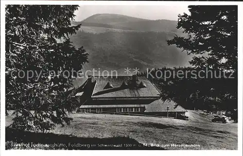 Feldberg Schwarzwald Gasthaus Todtnauerhuette Herzogenhorn Kat. Feldberg (Schwarzwald)