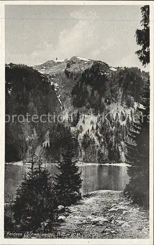 Feldberg Schwarzwald mit Feldsee Kat. Feldberg (Schwarzwald)