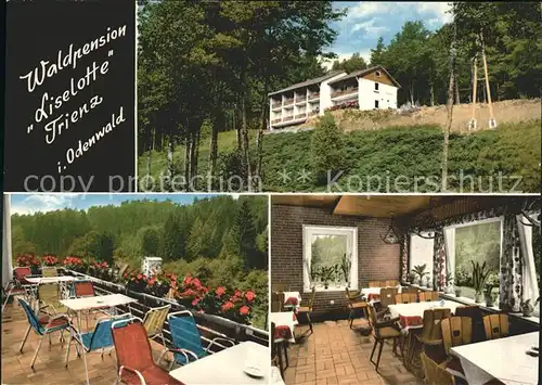 Trienz Waldpension Liselotte Kat. Fahrenbach