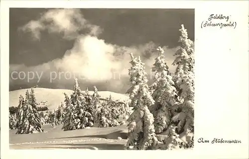 Feldberg Schwarzwald Am Stuebenwasen im Schnee Kat. Feldberg (Schwarzwald)