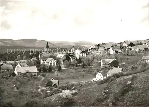 Goeschweiler Blick zum Feldberg Kat. Loeffingen