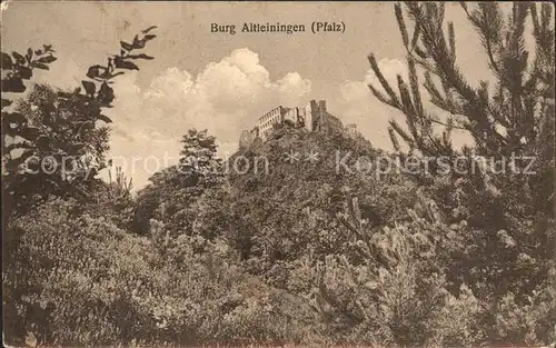 Altleiningen Burg Altleiningen  Kat. Altleiningen