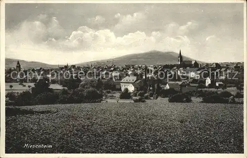 Miesenheim Stadt Kat. Andernach