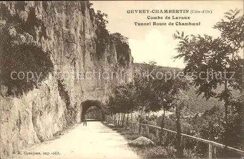 Gevrey Chambertin Tunnel Route de Chamboeuf Kat. Gevrey Chambertin