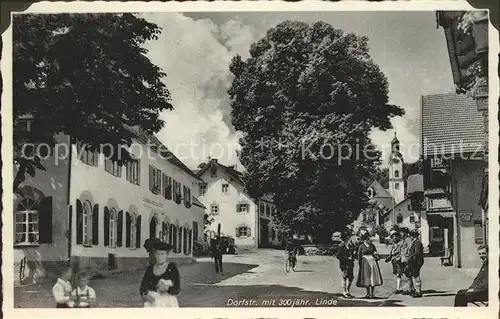 Bad Kohlgrub Dorfstrasse 300jaehrige Linde  Kat. Bad Kohlgrub