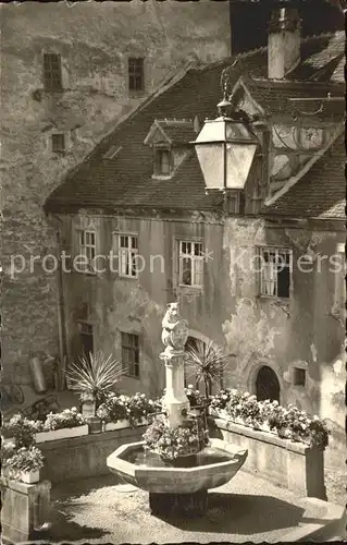 Meersburg Bodensee Baerenbrunnen Kat. Meersburg