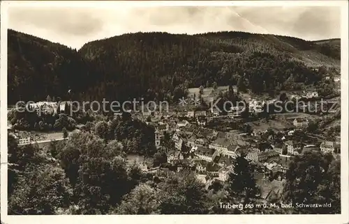 Triberg Schwarzwald  Kat. Triberg im Schwarzwald