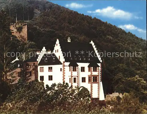 Miltenberg Main Mildenburg Kat. Miltenberg