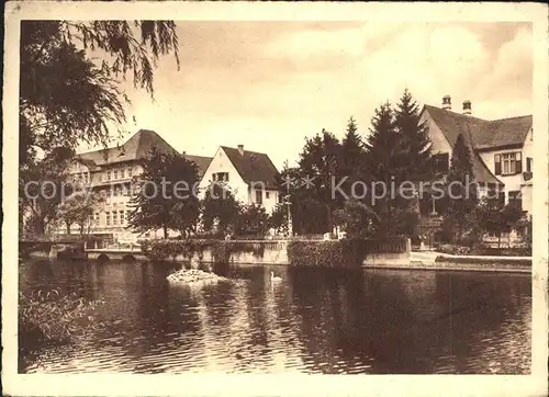 Kehl Rhein Rheinpartie Kat. Kehl