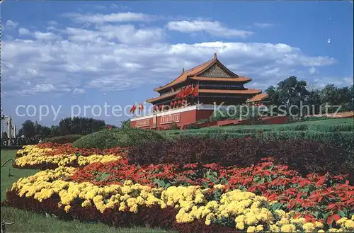 Beijing Green Belt in Front of the Buildings Kat. Beijing