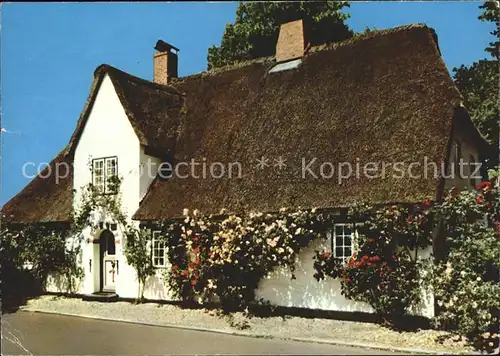 Nieblum Rosenhaus  / Nieblum Insel Foehr /Nordfriesland LKR