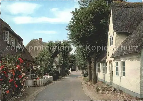 Nieblum Strassenpartie / Nieblum Insel Foehr /Nordfriesland LKR