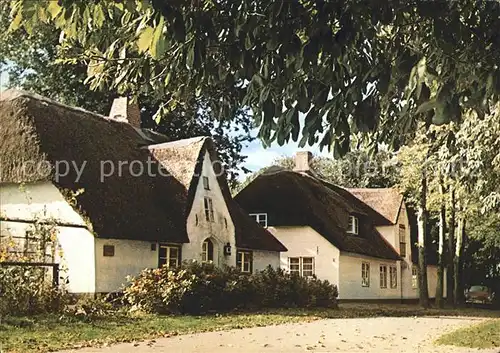 Nieblum Friesenhaeuser Karkstieg  / Nieblum Insel Foehr /Nordfriesland LKR