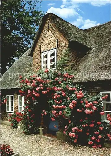 Nieblum Friesenhaus  / Nieblum Insel Foehr /Nordfriesland LKR