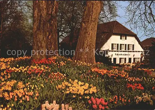 Insel Mainau am Bodensee Schwedenschenke im Fruehjahr Kat. Konstanz Bodensee