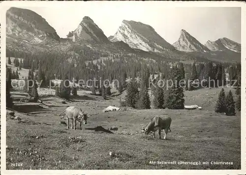 Alt St Johann Alp Sellamatt Kuehe Churfirsten Appenzeller Alpen Kat. Alt St Johann