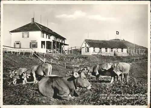 Hundwil Gasthaus Hundwilerhoehe Kuehe Kat. Hundwil