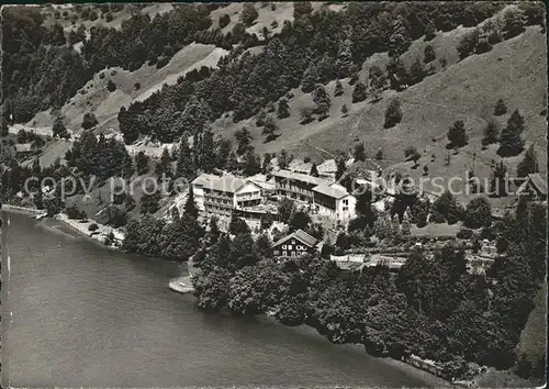 Gersau Vierwaldstaettersee Fliegeraufnahme /  /