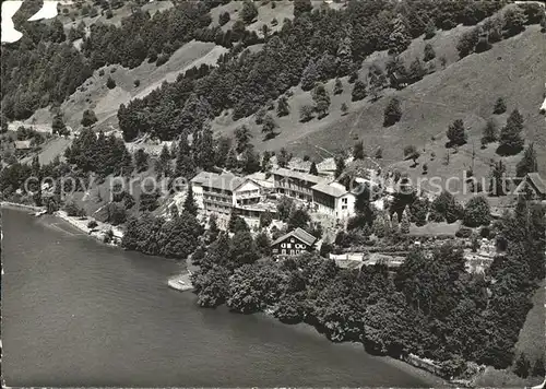 Gersau Vierwaldstaettersee Fliegeraufnahme /  /