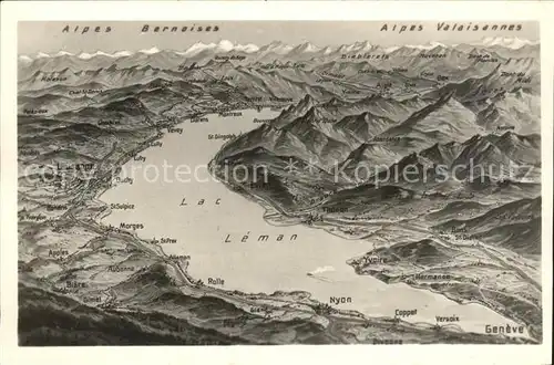 Lac Leman Genfersee und Umgebung Alpenpanorama / Genf /Bz. Geneve City