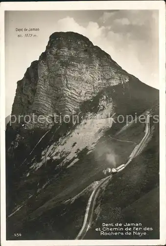 Rochers de Naye Dent de Jaman et Chemin de Fer Kat. Rochers de Naye