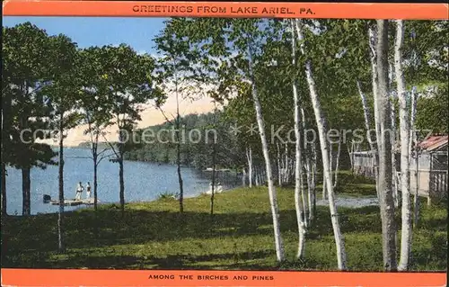 Lake Ariel Among the Birches Pines Kat. Lake Ariel