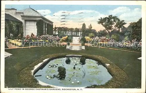 Rochester New York Lily Pond in George Eastman s Gardens Kat. Rochester