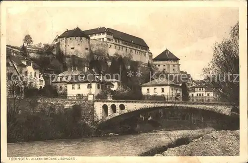 Tuebingen Alleenbruecke Schloss Kat. Tuebingen