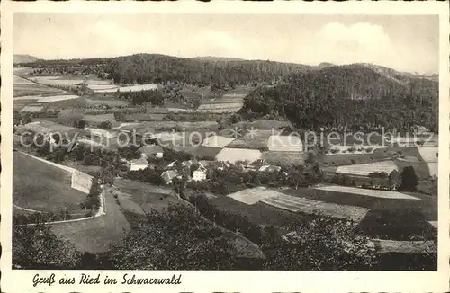 Tegernau Ried Schwarzwald Kat. Tegernau