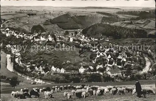 Wildberg Schwarzwald  / Wildberg /Calw LKR