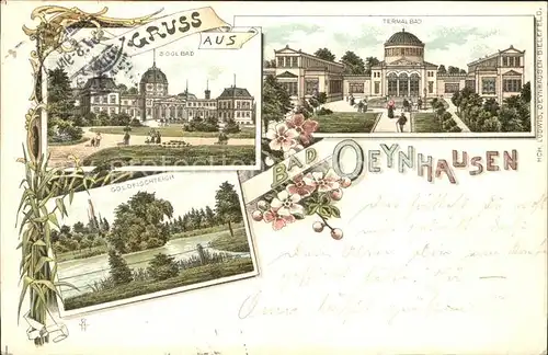 Bad Oeynhausen Termalbad Soolbad Goldfischteich Litho / Bad Oeynhausen /Minden-Luebbecke LKR