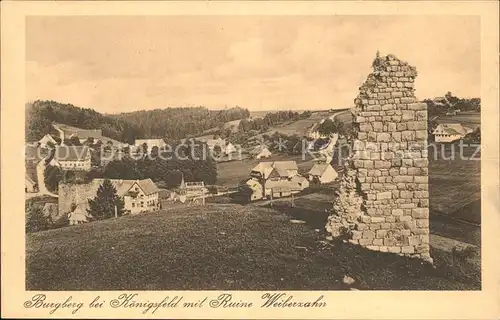 Burgberg Koenigsfeld mit Ruine Weiberzahn / Koenigsfeld im Schwarzwald /Schwarzwald-Baar-Kreis LKR