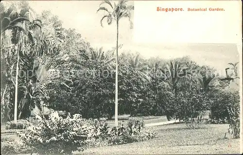 Singapore Botanic Garden / Singapore /