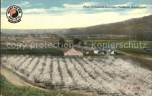 Clarkston Washington Fruits Orchard at Lewiston / Clarkston /