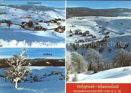 Hofsgrund Schauinsland Feldberg Kat. Oberried