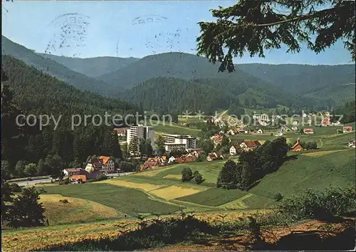 Obertal Baiersbronn  / Baiersbronn /Freudenstadt LKR