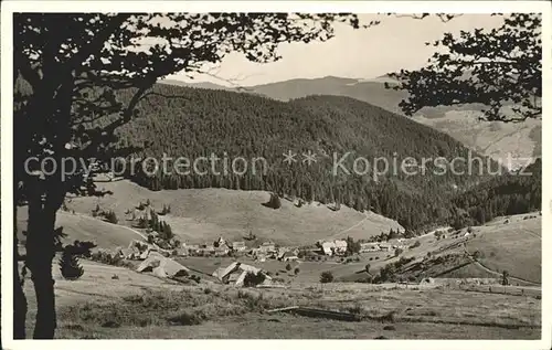 Muggenbrunn Panorama Kat. Todtnau