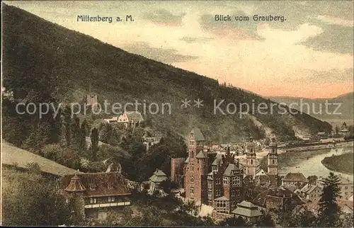 Miltenberg Main Blick vom Grauberg Kat. Miltenberg