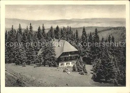 Feldberg Schwarzwald Naturfreundehaus Feldberg Kat. Feldberg (Schwarzwald)