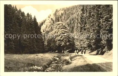 Oberhof Thueringen Silbergraben mit Raeuberstein Heilklimatischer Kurort Kat. Oberhof Thueringen