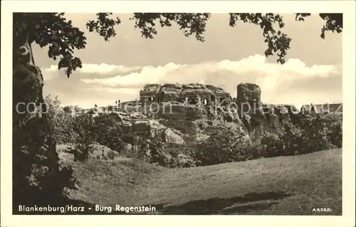 Blankenburg Harz Burg Regenstein Ruine Kat. Blankenburg