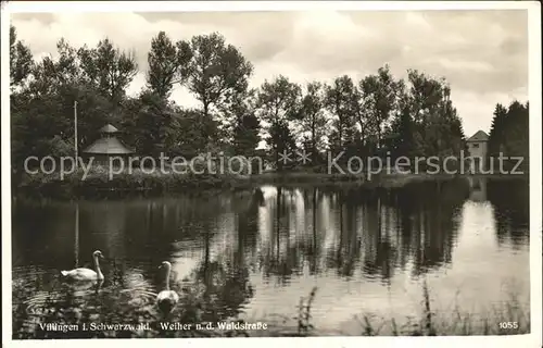 Villingen Schwenningen Weiher an der Waldstrasse Schwan Kat. Villingen Schwenningen