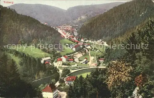 Triberg Schwarzwald Panorama Kat. Triberg im Schwarzwald