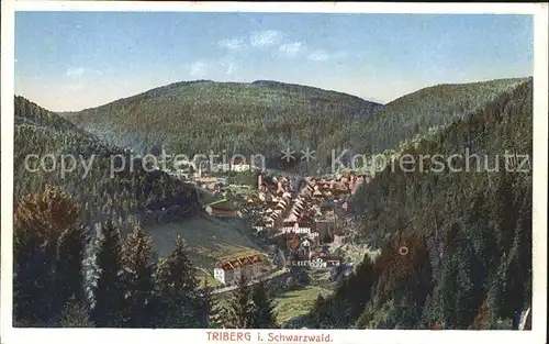 Triberg Schwarzwald Panorama Kat. Triberg im Schwarzwald