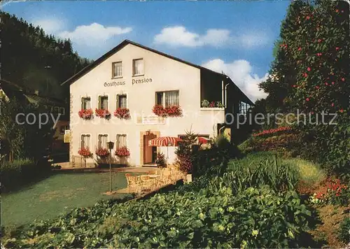 Ludwigsstadt Gasthaus Pension Am Troggenbach Kat. Ludwigsstadt