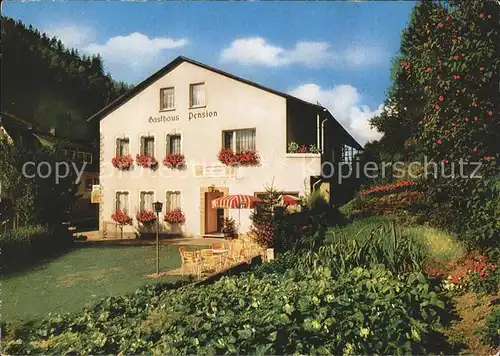 Ludwigsstadt Gasthaus Pension Am Trogenbach Kat. Ludwigsstadt