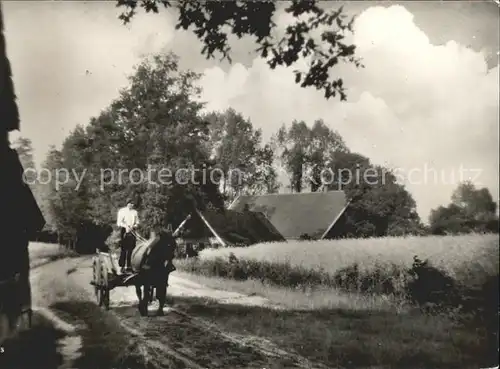 Hengelo Pferdefuhrwerk Kat. Hengelo